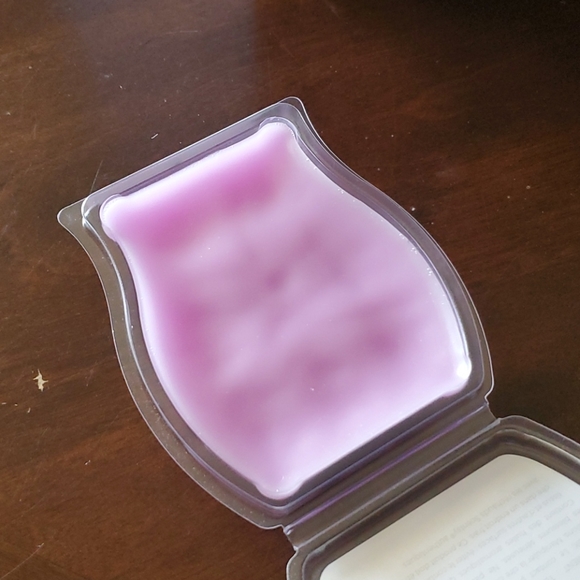 Discontinued Scentsy Lucky in Love Wax Bar - Picture 2 of 2